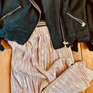 Zara Trafulac Shiny Pink A-Line Skirt